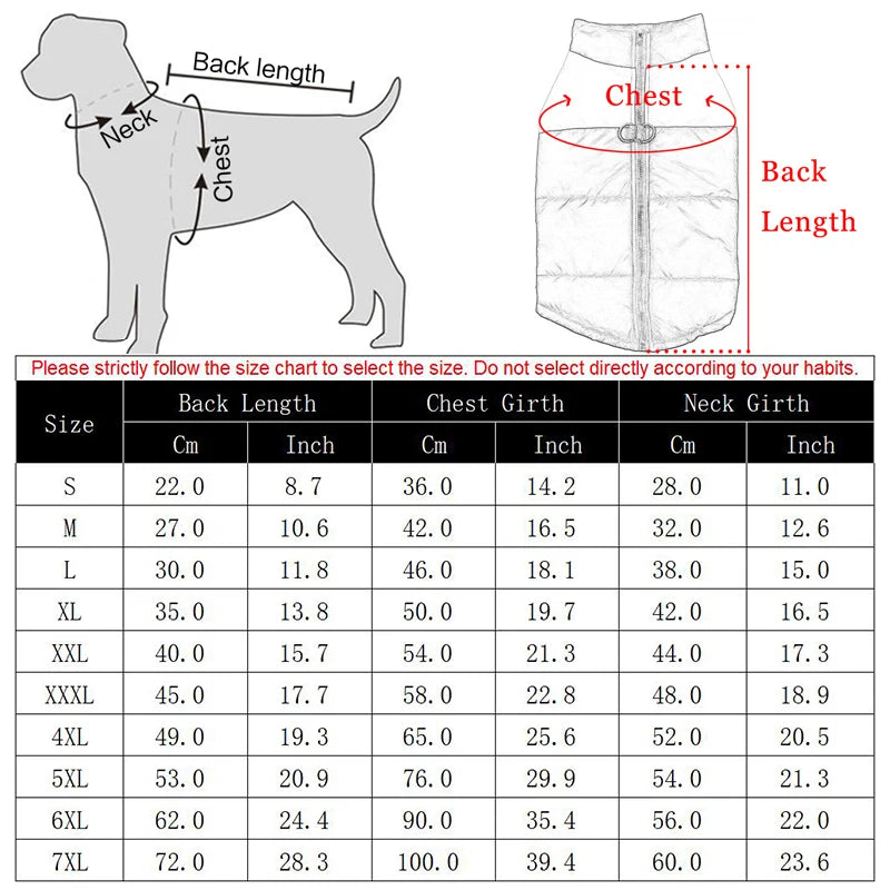 Winter Dog Coat – Waterproof Warm Jacket for Pets