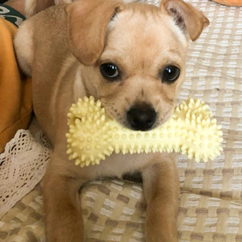 TPR Knot Dog Chew Toy – Bite-Resistant Teeth Cleaner