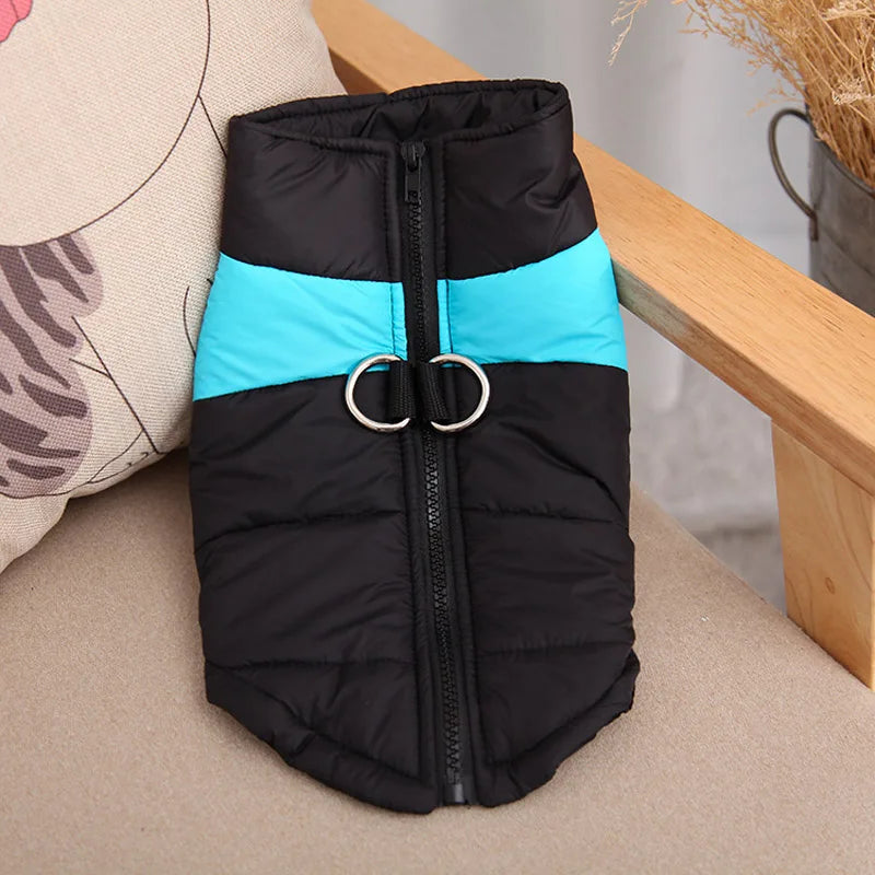 Winter Dog Coat – Waterproof Warm Jacket for Pets
