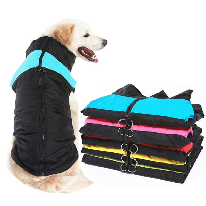 Winter Dog Coat – Waterproof Warm Jacket for Pets