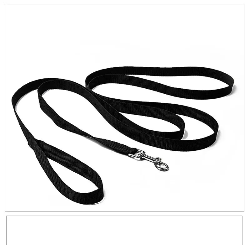Solid Nylon Dog Leash – Long Walking & Training Lead