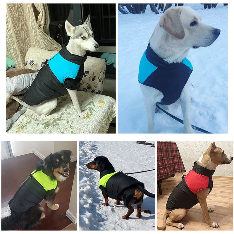 Winter Dog Coat – Waterproof Warm Jacket for Pets
