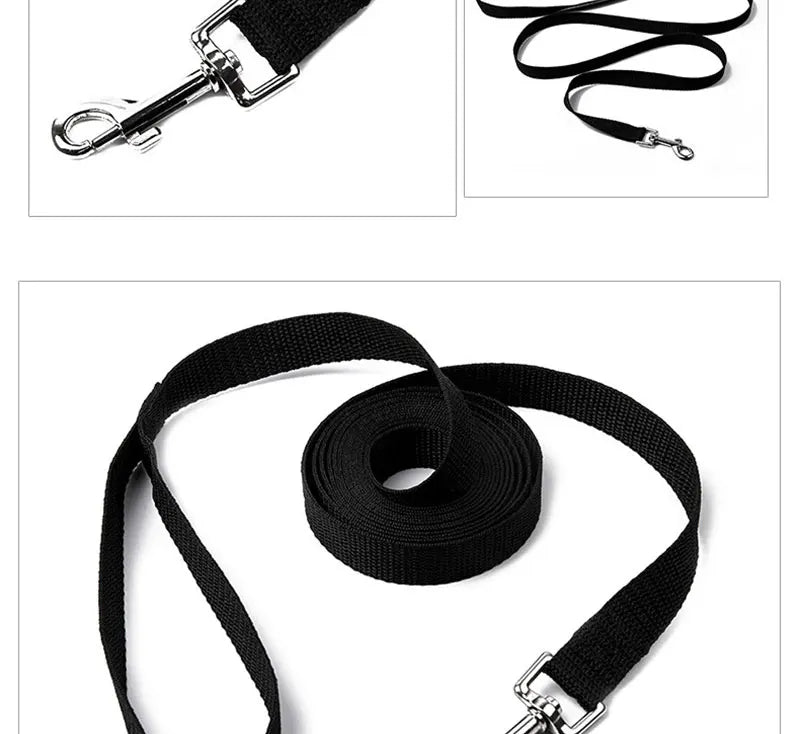 Solid Nylon Dog Leash – Long Walking & Training Lead