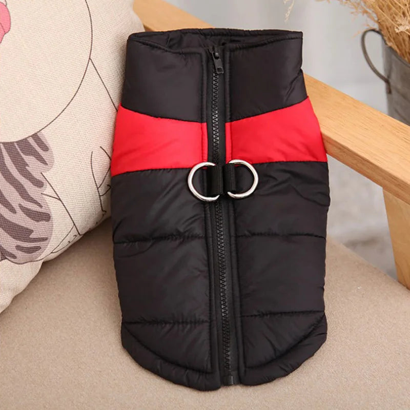 Winter Dog Coat – Waterproof Warm Jacket for Pets