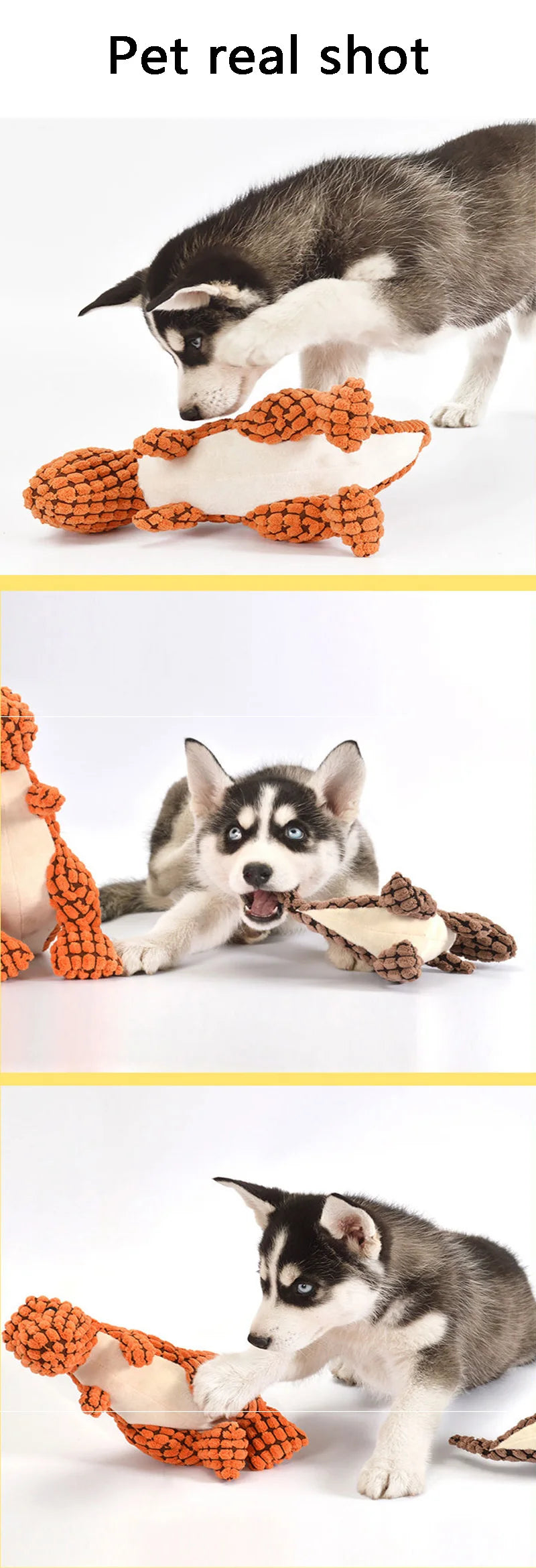 Dinosaur Chew Toy – Stuffed Vocal Dog & Cat Toy