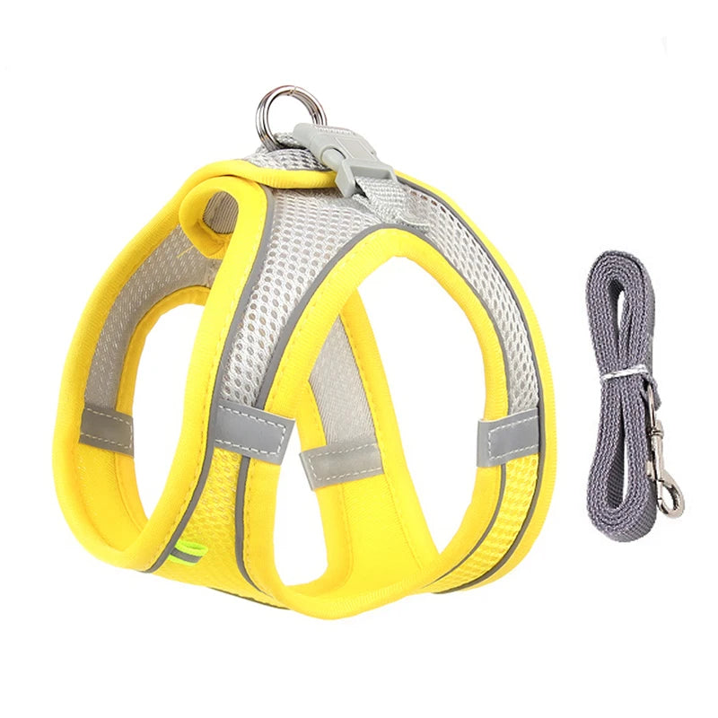 Adjustable Dog Harness & Leash Set – Small Dogs & Cats