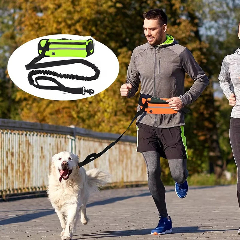 Hands-Free Dog Leash – Reflective Running & Walking Belt