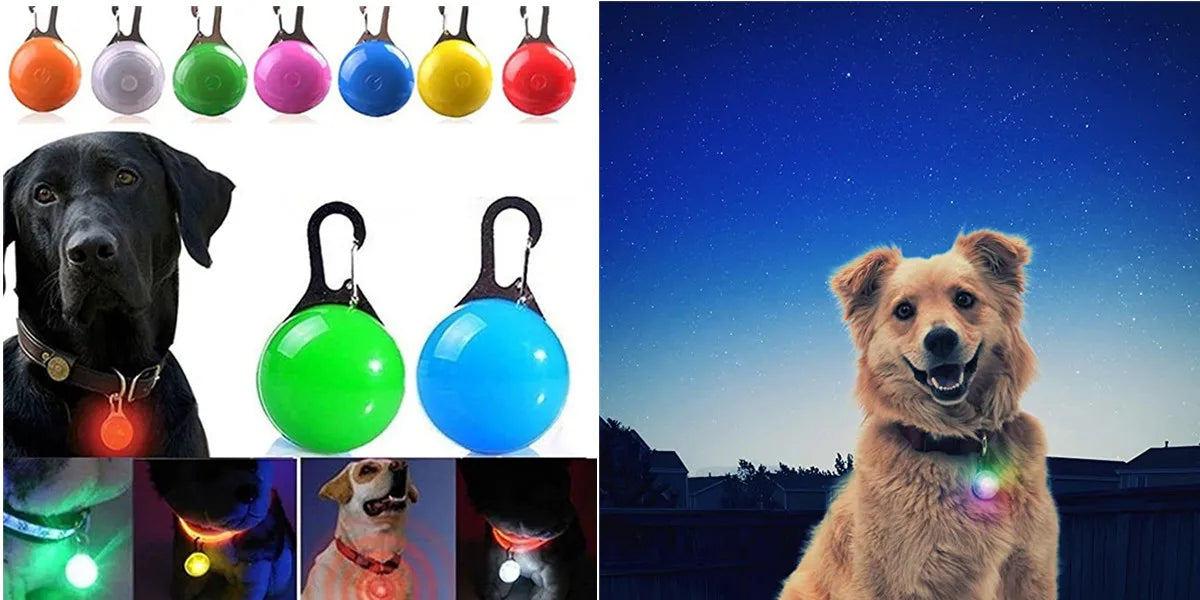 LED Luminous Dog Collar – USB Rechargeable Waterproof
