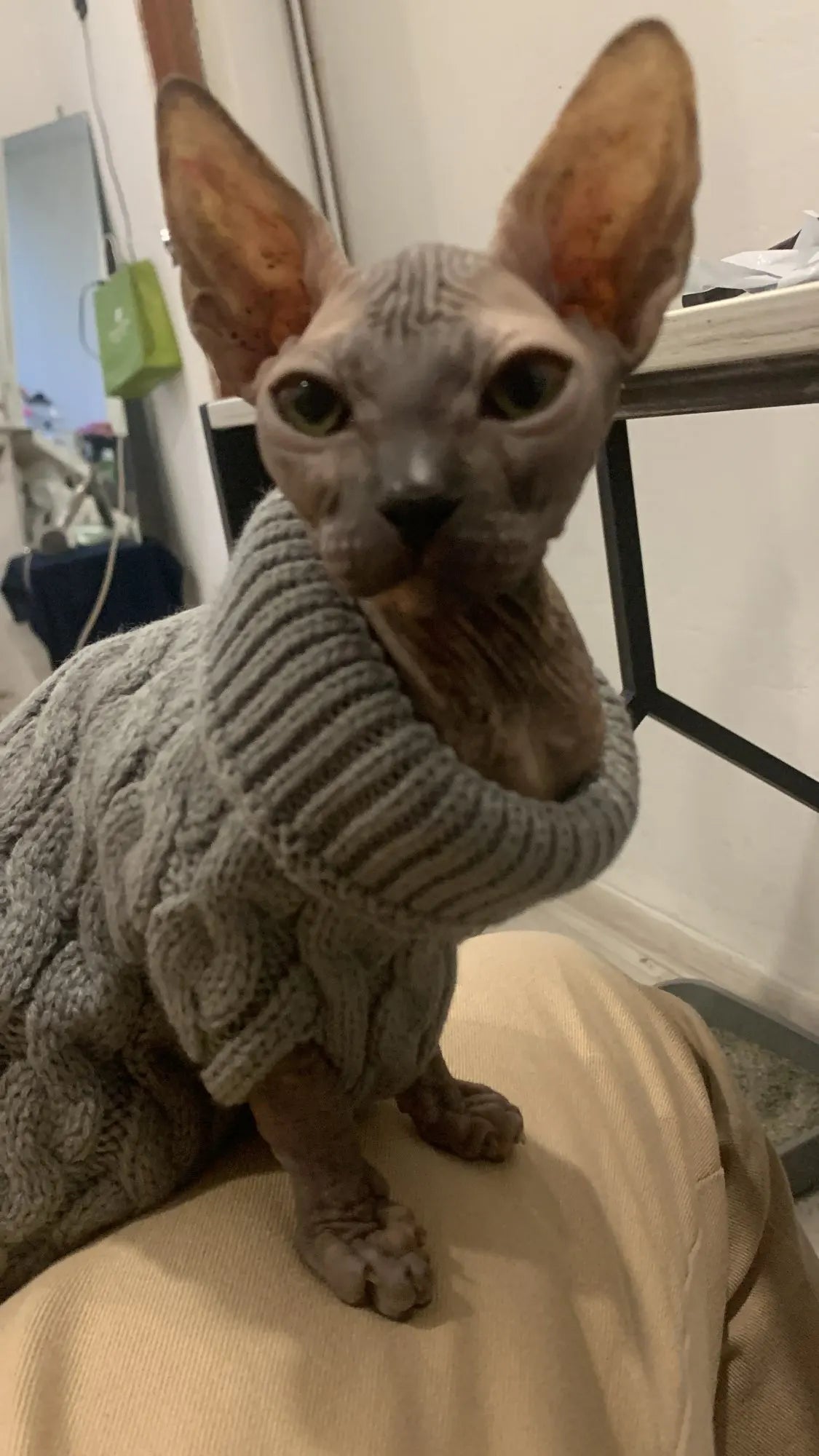 Knitted Dog & Cat Sweater