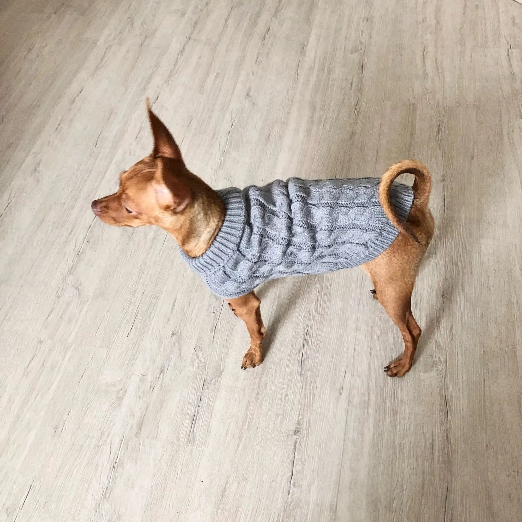Knitted Dog & Cat Sweater