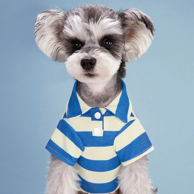 Pet Polo Shirt – Casual Summer T-Shirt for Dogs & Cats