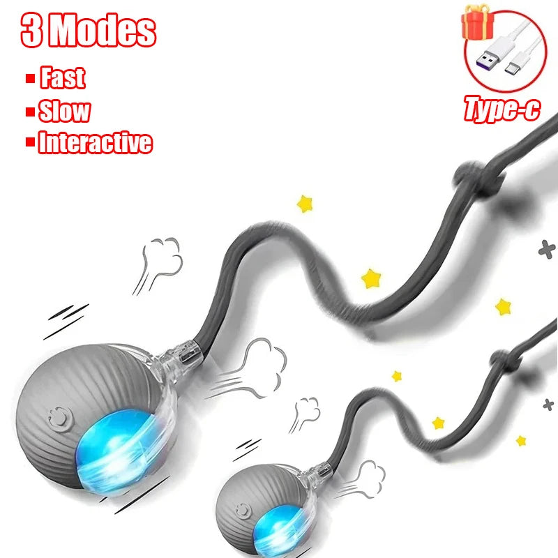 Automatic Rolling Cat & Dog Toy – Rechargeable Smart Ball