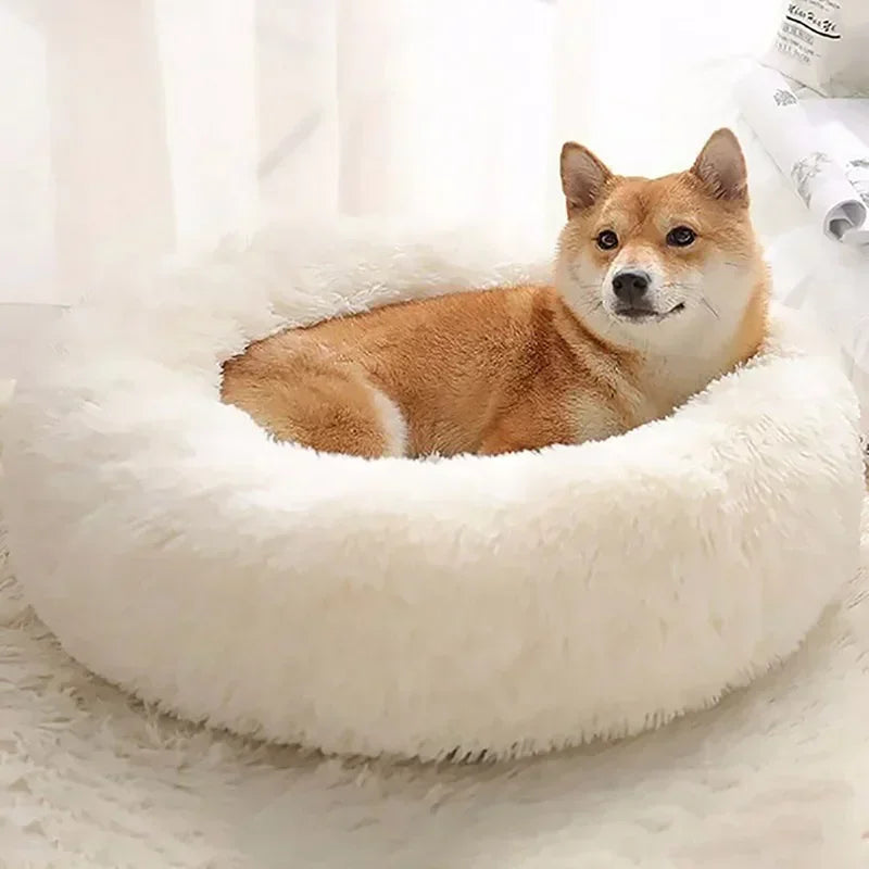 Round Plush Pet Bed – Self-Warming Soft Cushion for Cats & Dogs