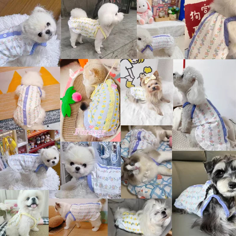 Summer Puppy Suspenders Vest – Cooling Dog Outfit