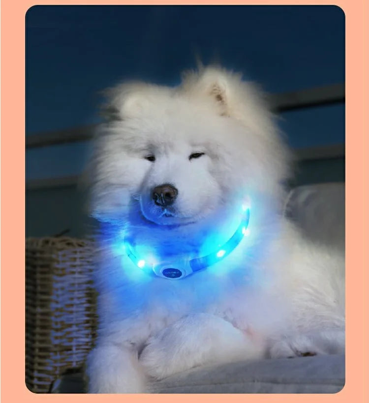 LED Luminous Dog Collar – USB Rechargeable Waterproof