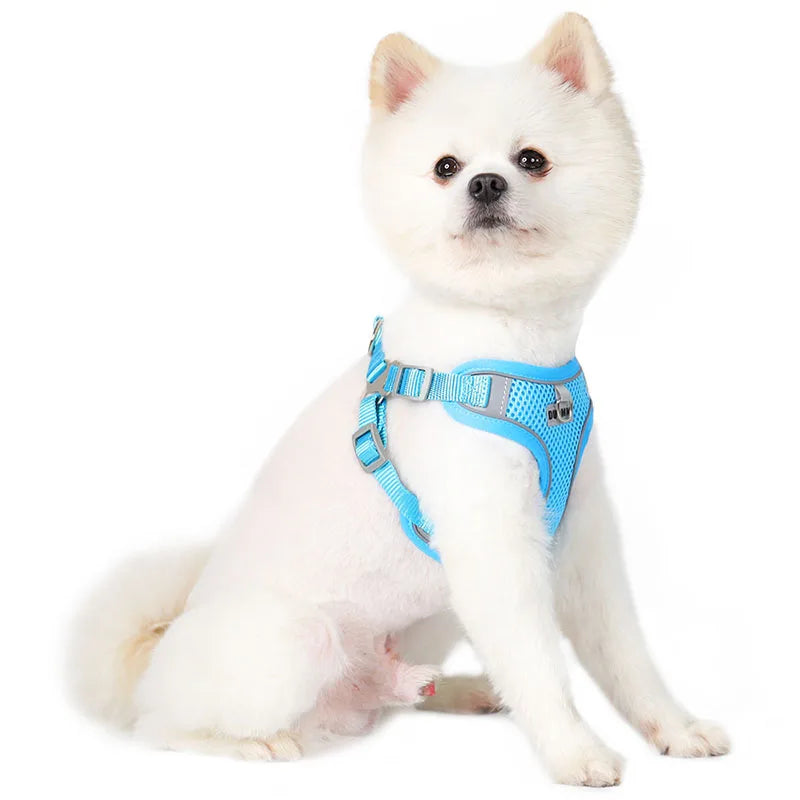 Reflective Dog Harness & Leash Set – Small & Medium Pets