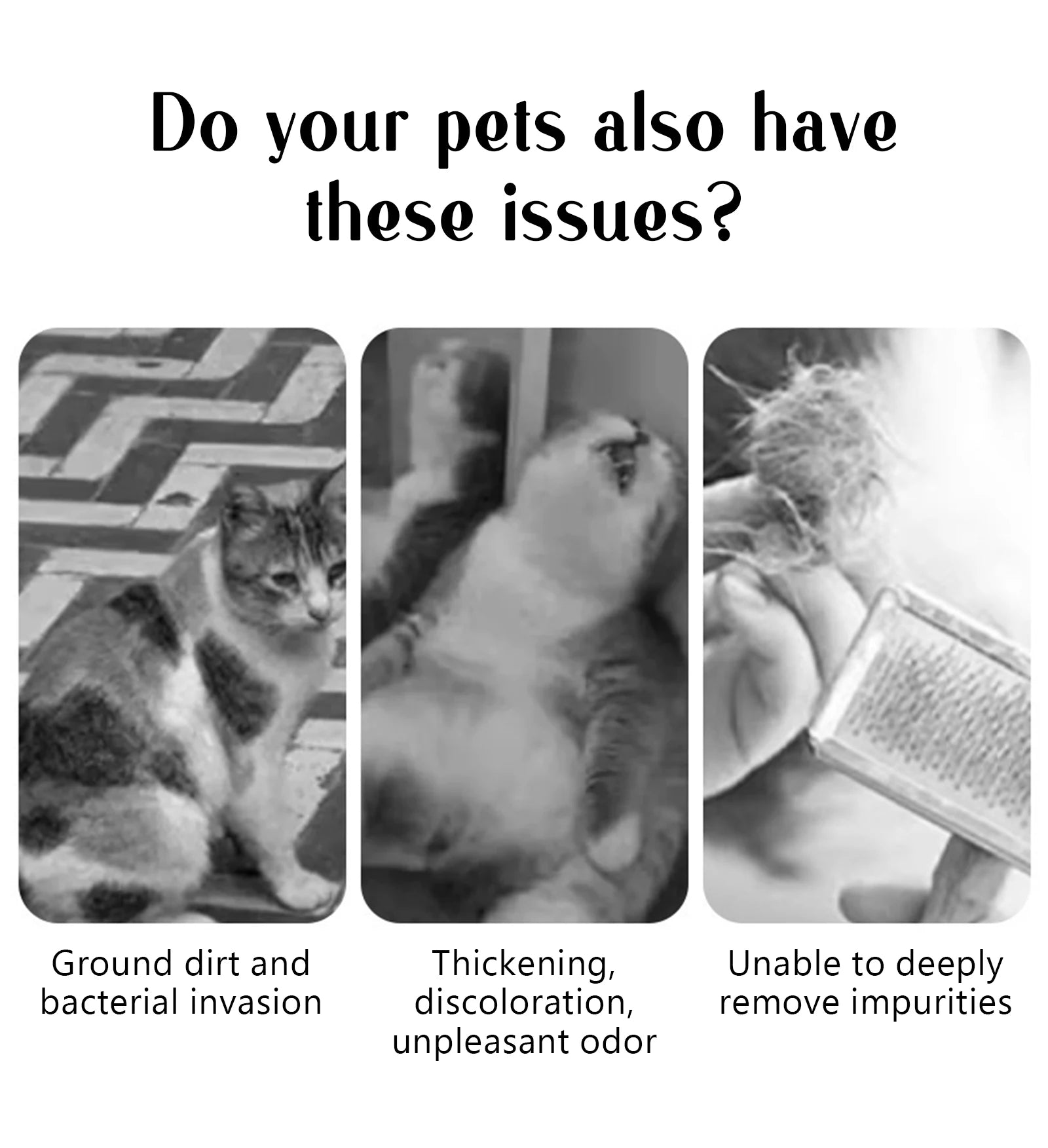 Pet Steam Massage Brush – Dog & Cat Hair Removal Comb