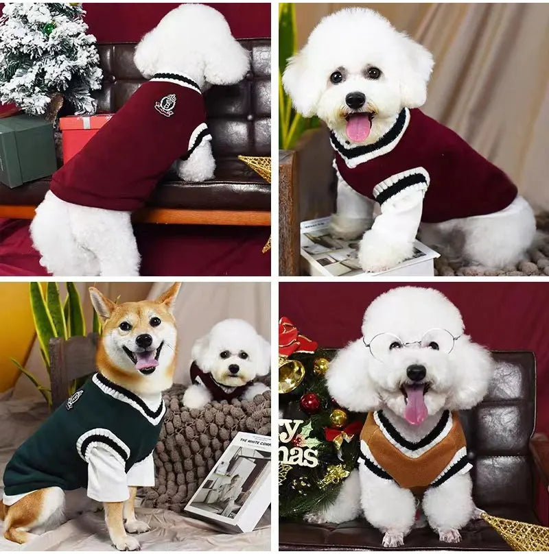 Winter V-Neck Pet Sweater