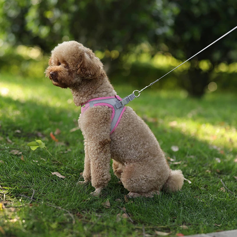 Adjustable Dog Harness & Leash Set – Small Dogs & Cats
