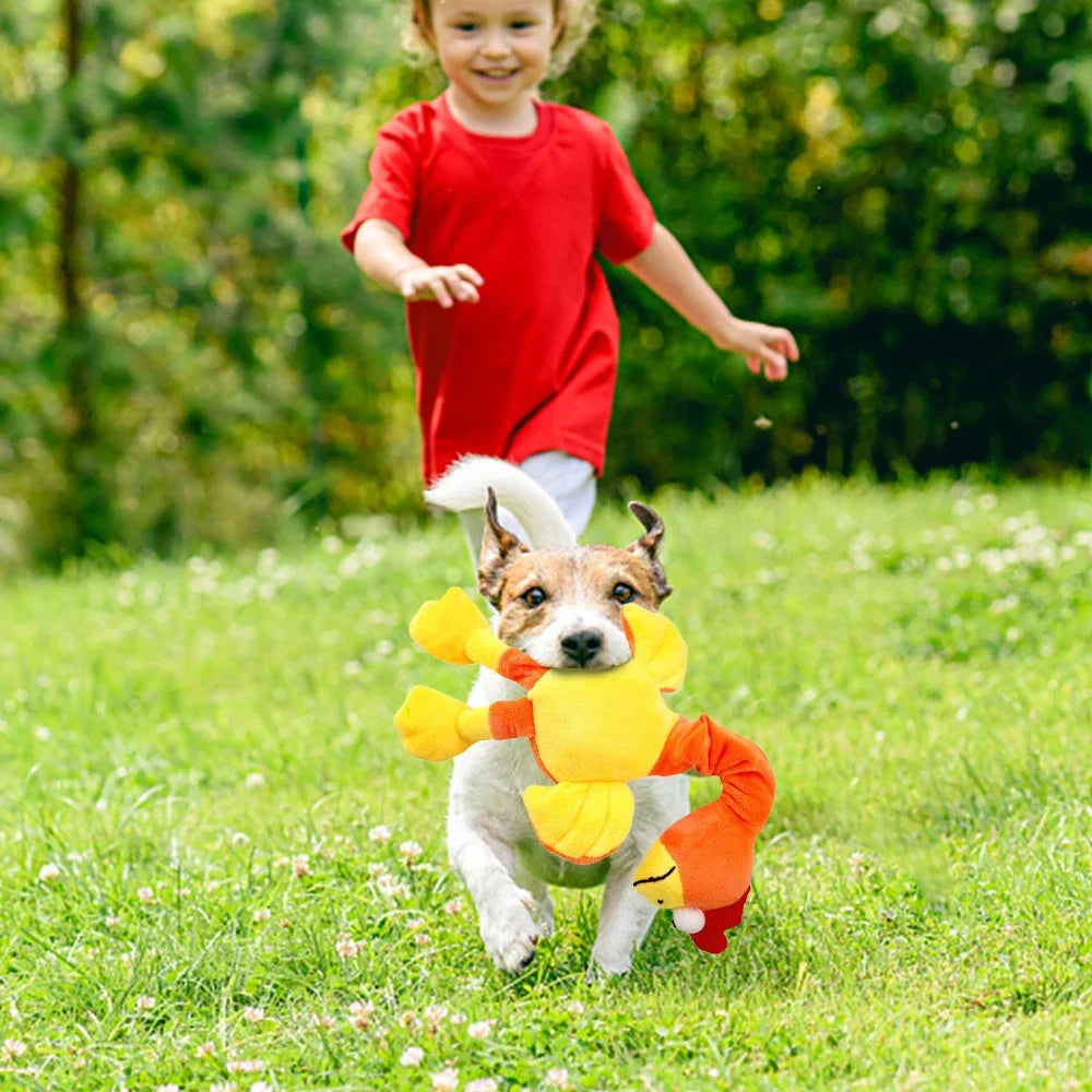 Squeaky Chicken Dog Toy – Bite-Resistant Interactive Chew