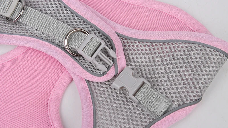 Adjustable Dog Harness & Leash Set – Small Dogs & Cats