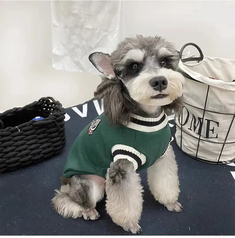 Winter V-Neck Pet Sweater