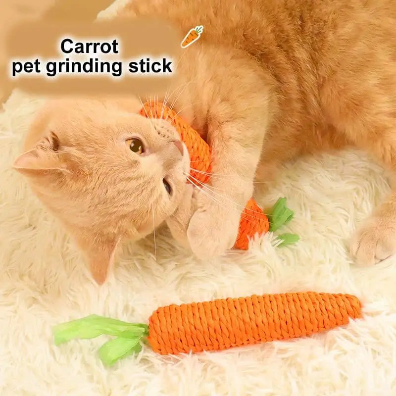 Cat Teething & Play Toy – Carrot Teaser Stick
