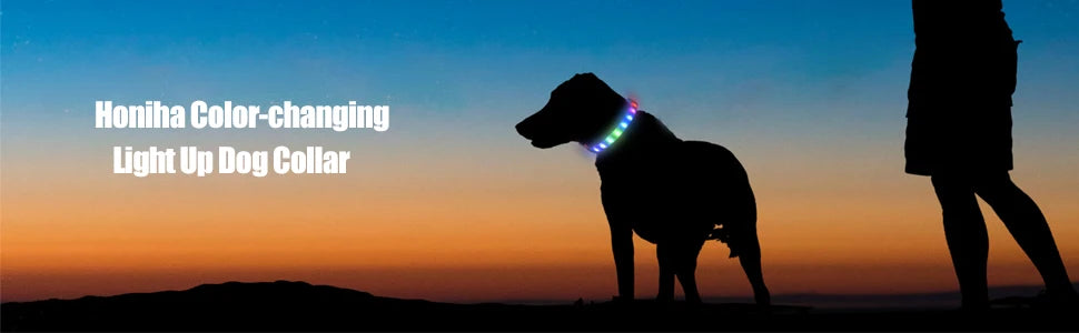 LED Luminous Dog Collar – USB Rechargeable Waterproof