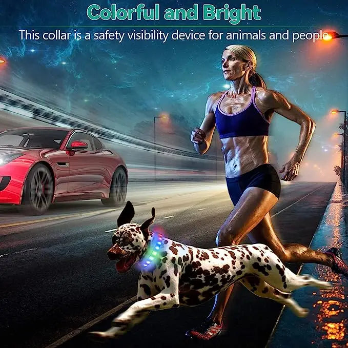 LED Luminous Dog Collar – USB Rechargeable Waterproof