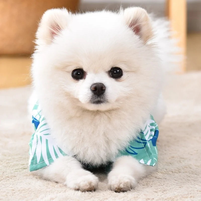 Hawaiian Style Pet Shirt – Summer Dog & Cat Beach Outfit