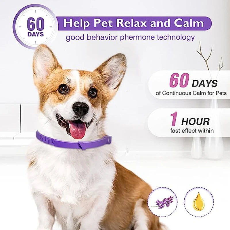 Calming Pheromone Collar