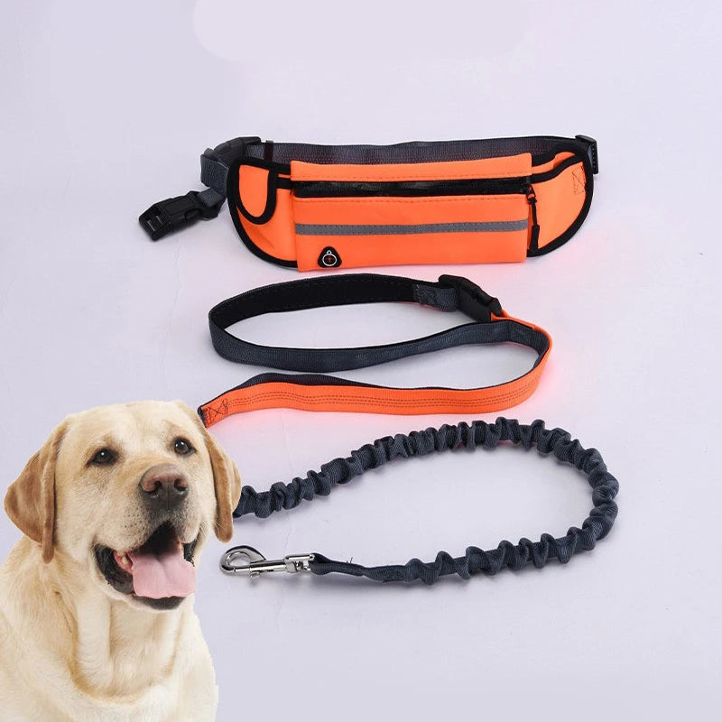 Hands-Free Dog Leash – Reflective Running & Walking Belt