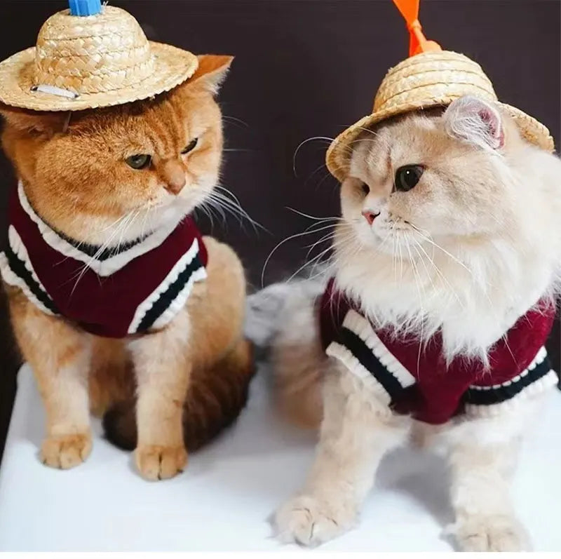 Winter V-Neck Pet Sweater