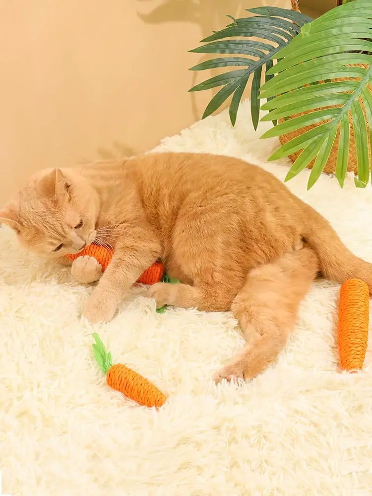 Cat Teething & Play Toy – Carrot Teaser Stick