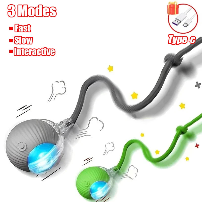 Automatic Rolling Cat & Dog Toy – Rechargeable Smart Ball