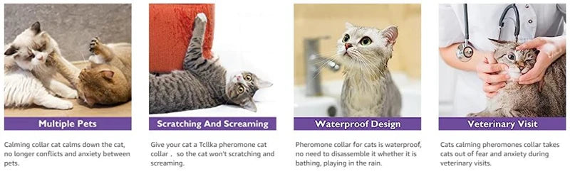 Calming Pheromone Collar