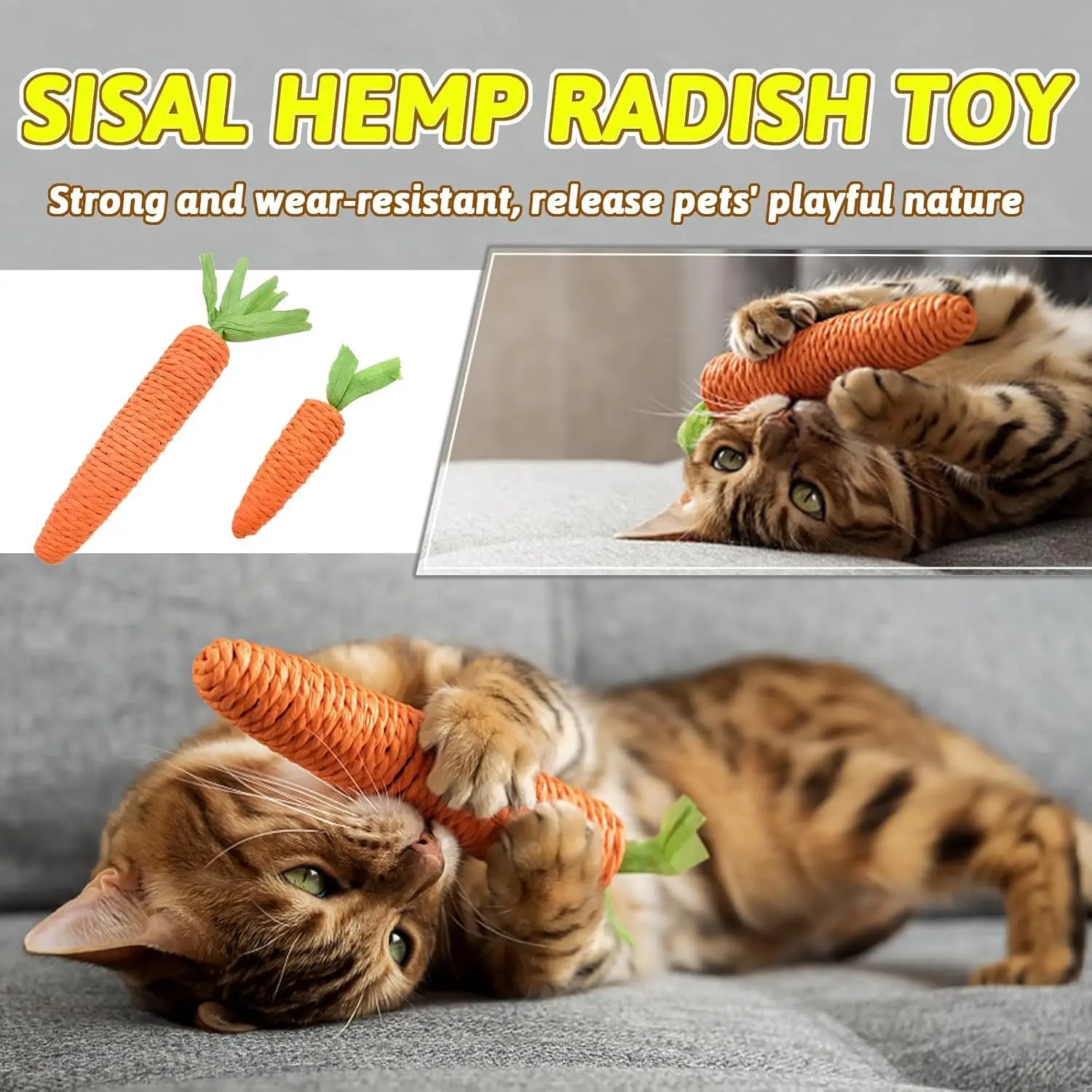 Cat Teething & Play Toy – Carrot Teaser Stick