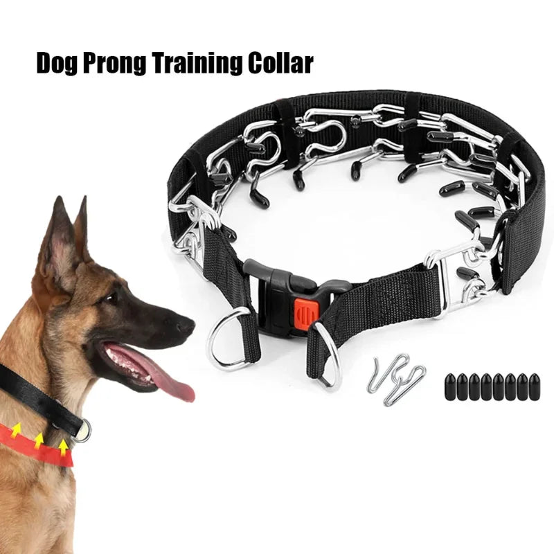 Adjustable Prong Training Collar for Dogs