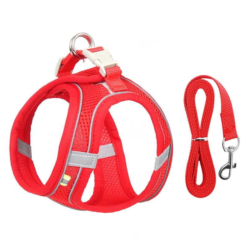Adjustable Dog Harness & Leash Set – Small Dogs & Cats