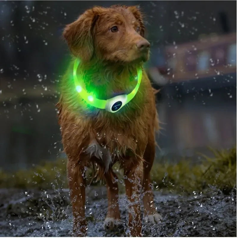 LED Luminous Dog Collar – USB Rechargeable Waterproof