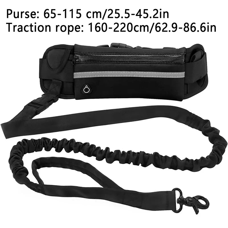 Hands-Free Dog Leash – Reflective Running & Walking Belt