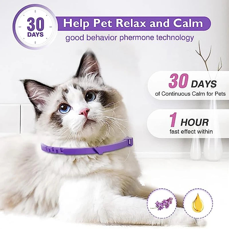 Calming Pheromone Collar