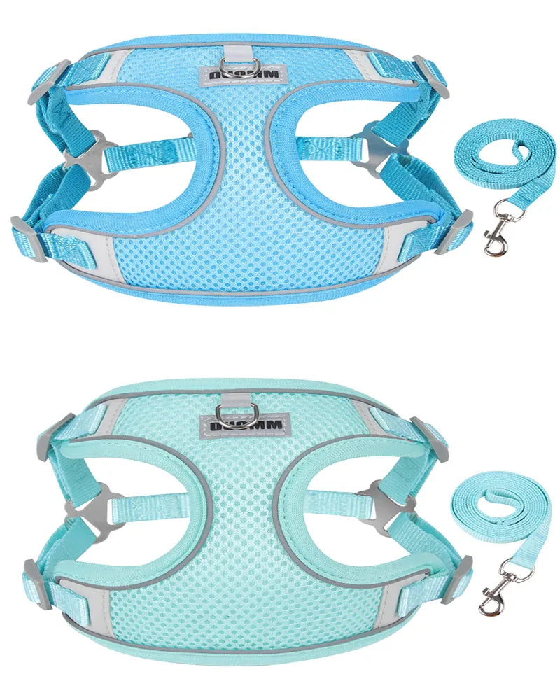 Reflective Dog Harness & Leash Set – Small & Medium Pets