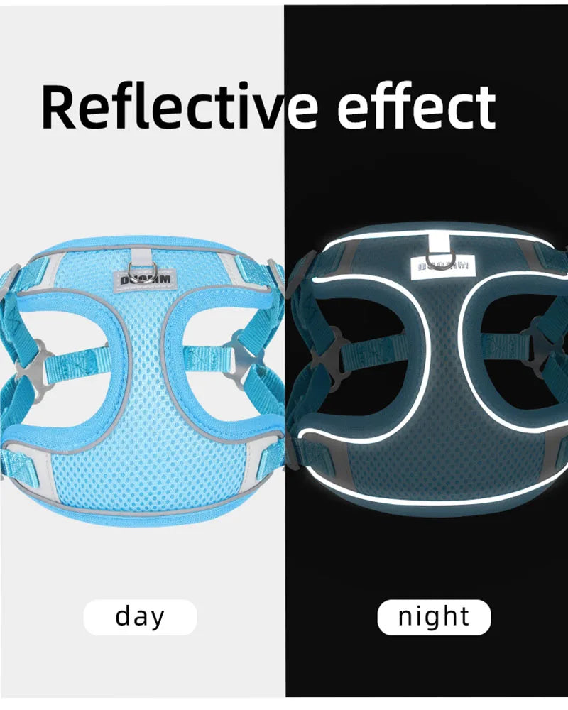 Reflective Dog Harness & Leash Set – Small & Medium Pets