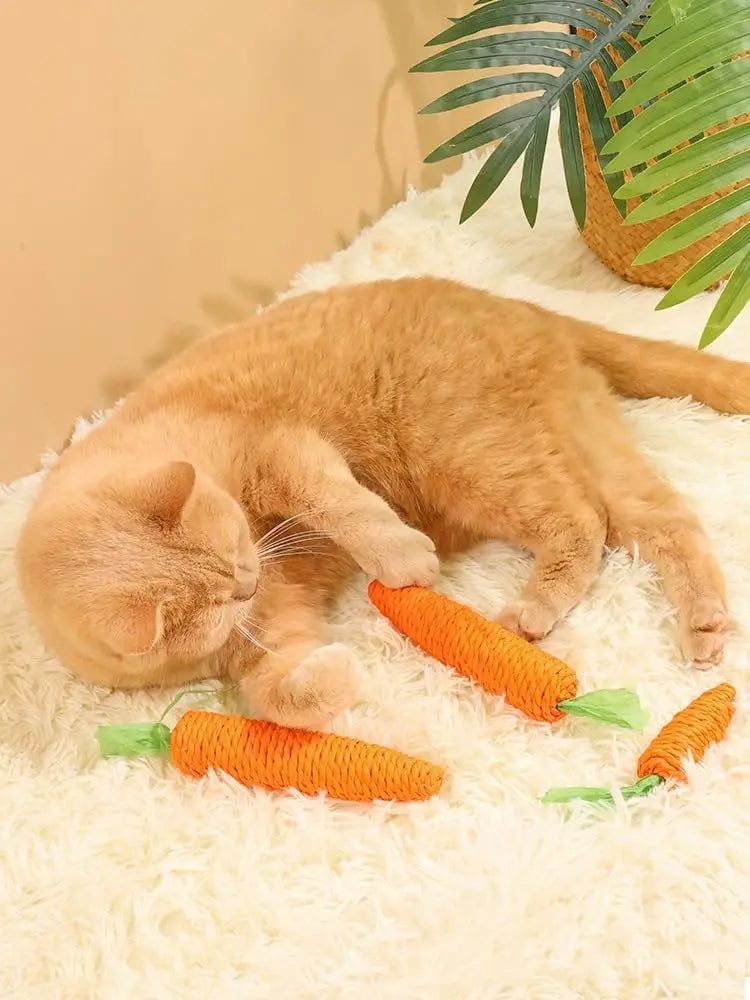 Cat Teething & Play Toy – Carrot Teaser Stick