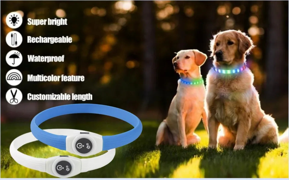 LED Luminous Dog Collar – USB Rechargeable Waterproof