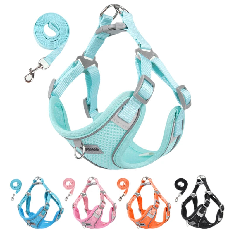 Reflective Dog Harness & Leash Set – Small & Medium Pets