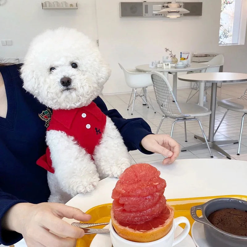 Soft Breathable Dog Polo – Summer Vest for Small & Medium Dogs