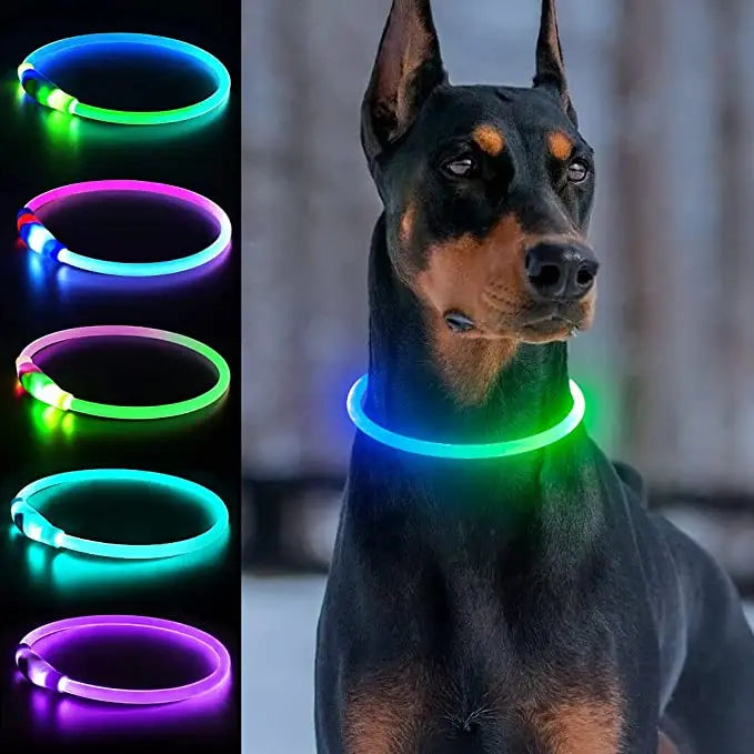 LED Luminous Dog Collar – USB Rechargeable Waterproof