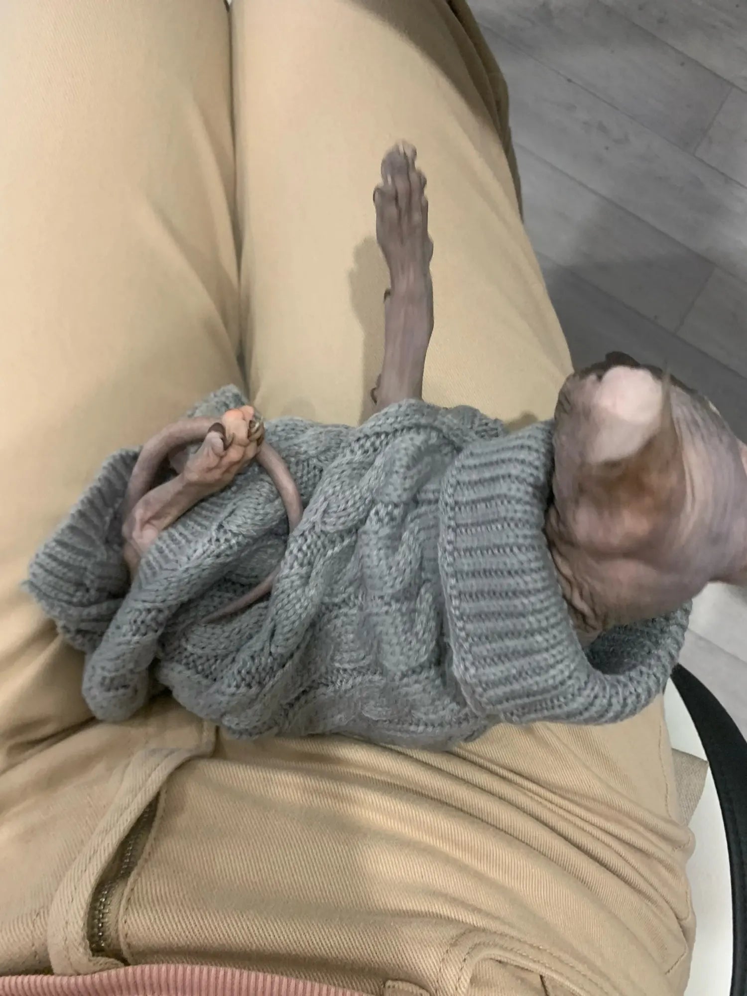 Knitted Dog & Cat Sweater